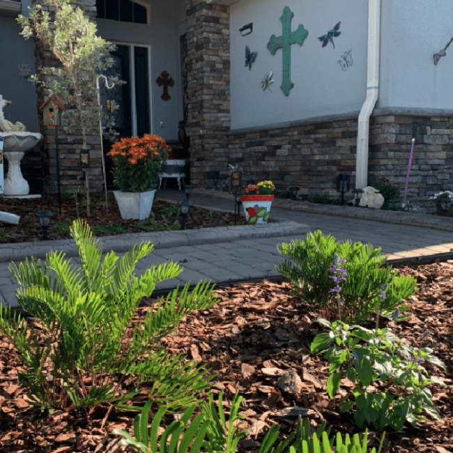 Central Florida Landscaping